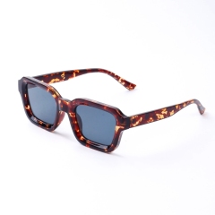 Tortoise Frame Gray Lens
