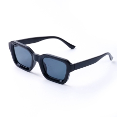 Black Frame Gray Lens