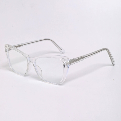 Clear Frame Clear Lens