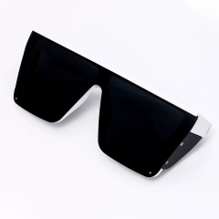 White Frame Black Lens
