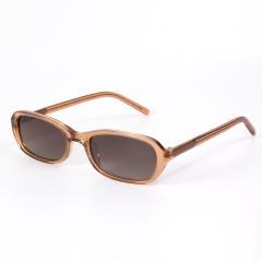 Transparent Brown Frame Brown Gray Lens