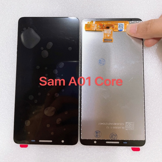 Display LCD Screen for Sam