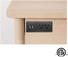 Recessed Power Strip Flat Plug, Desk Outlet with USB, Conference Recessed Power Outlet Socket with 2 AC Plugs, 2 USB Ports Connect with 6.56ft Power Cord for Furniture, Home, Office