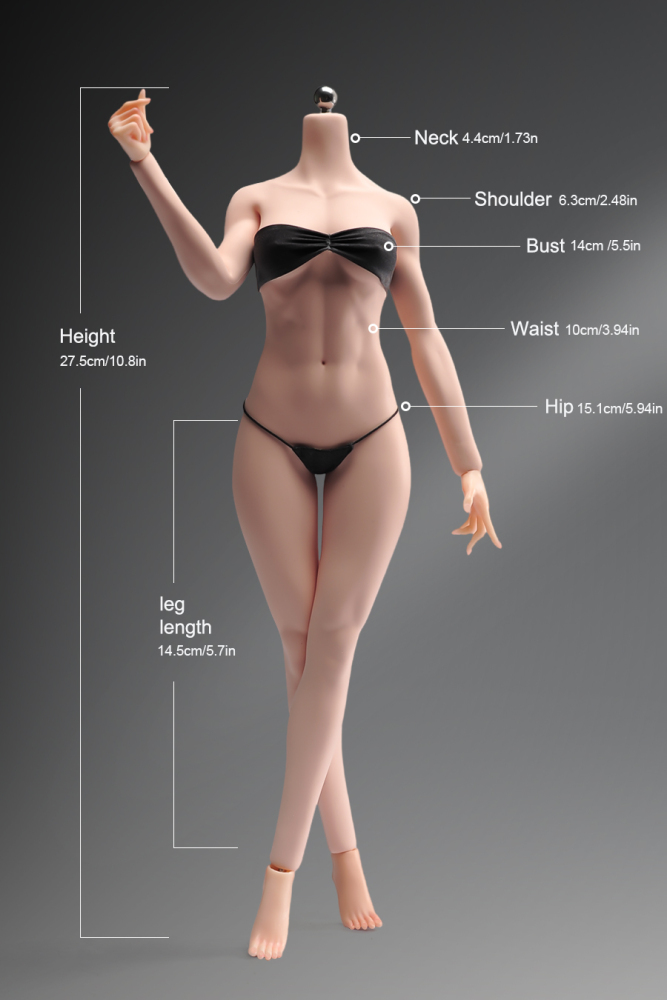 1/6 Scale Female Body, 12inch Super Flexible Seamless Large Bust Normal Skin Figure Slender Waist Soft Miniature Action Figure Body with Detachable Feet