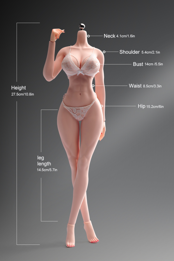 1/6 Scale Female Body, 12inch Super Flexible Seamless Large Bust Normal Skin Figure Slender Waist Soft Miniature Action Figure Body with Detachable Feet