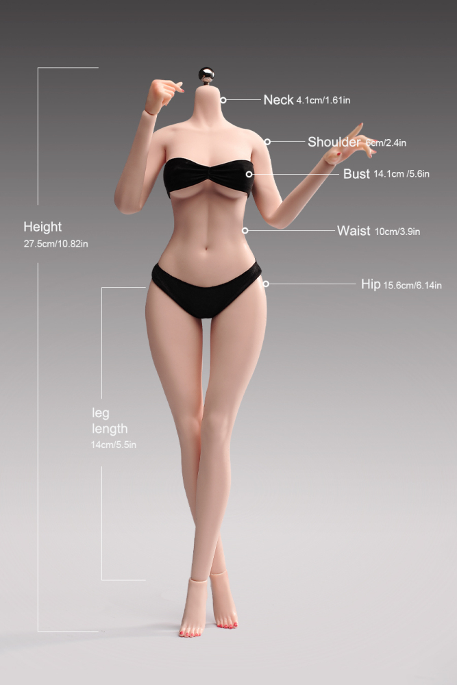 1/6 Scale Female Body, 12inch Super Flexible Seamless Large Bust Normal Skin Figure Slender Waist Soft Miniature Action Figure Body with Detachable Feet