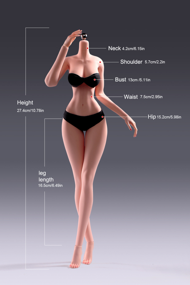 1/6 Scale Female Body, 12inch Super Flexible Seamless Large Bust Normal Skin Figure Slender Waist Soft Miniature Action Figure Body with Detachable Feet