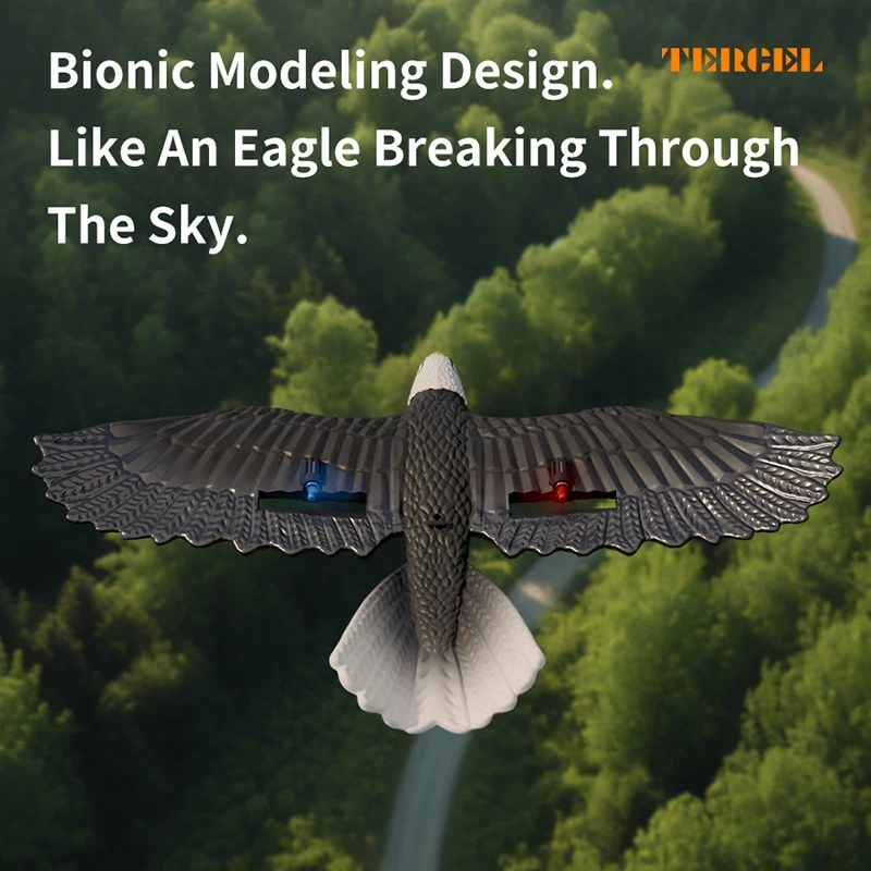 RC Plane Eagle Glider 2.4G 2CH 420MM Wingspan Remote Control  EPP Foam Airplane Land,sea,and Air Amphibious Aircraft