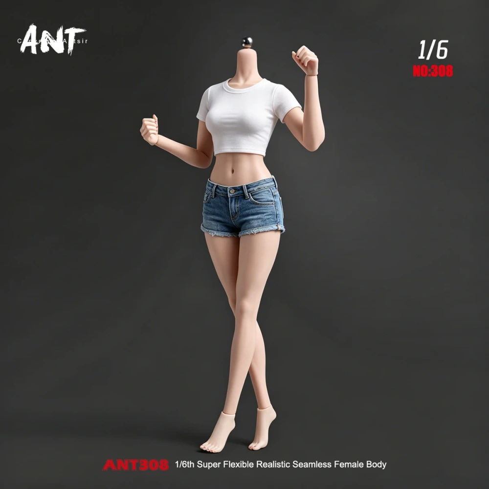 2026 Q4 ANT T308 1/6 Scale Muscle Female Seamless Body Wide Shoulders Slim Waist 12" Flexible Action Figure Body