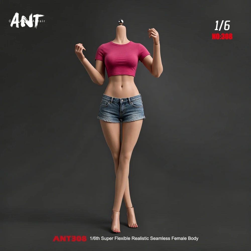 2026 Q4 ANT T308 1/6 Scale Muscle Female Seamless Body Wide Shoulders Slim Waist 12" Flexible Action Figure Body