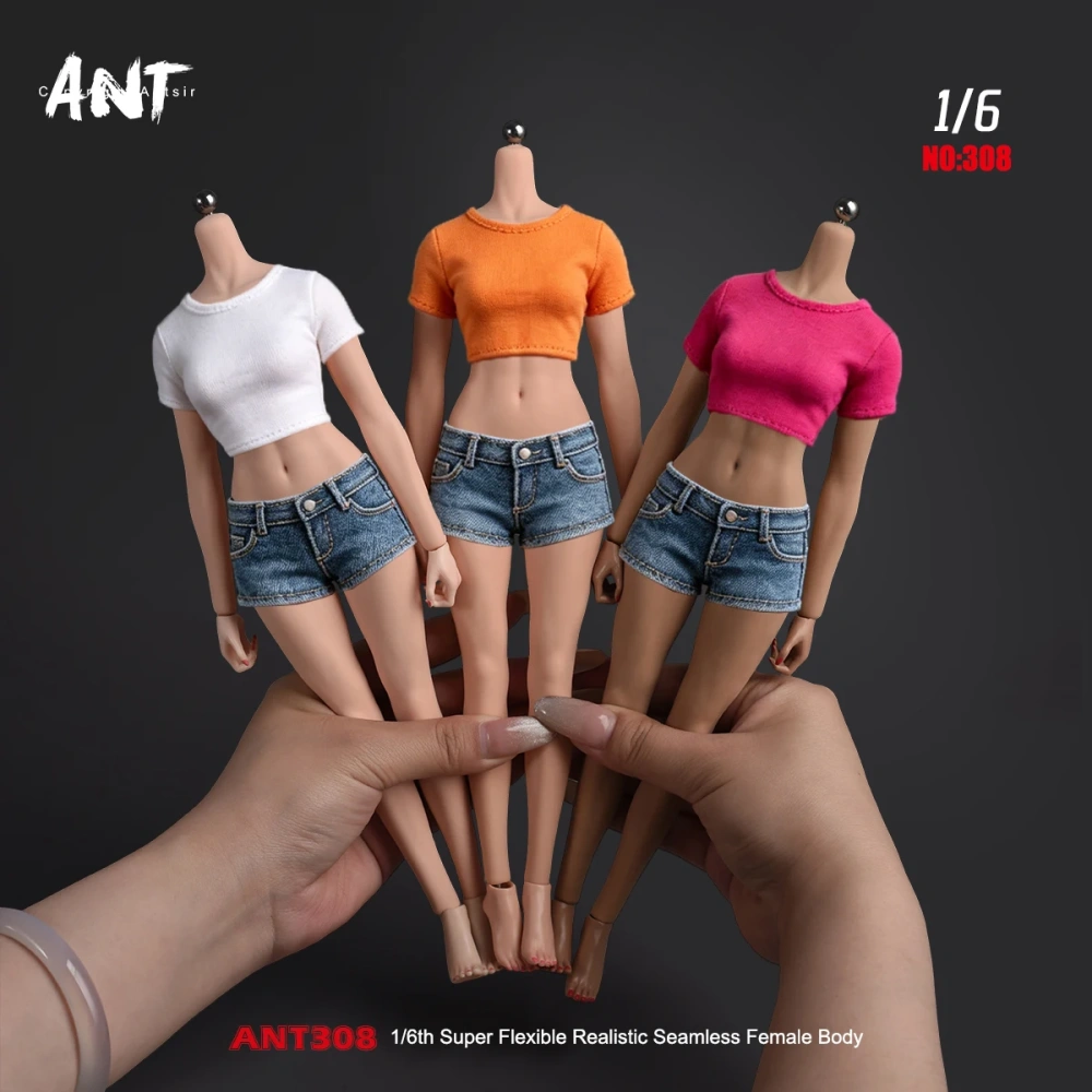 2026 Q4 ANT T308 1/6 Scale Muscle Female Seamless Body Wide Shoulders Slim Waist 12" Flexible Action Figure Body
