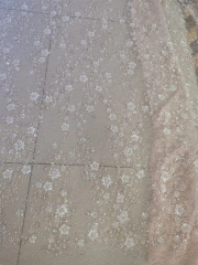 As photo