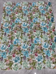 Color 2，
