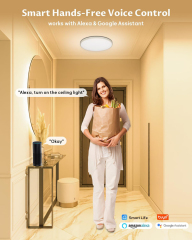 Smart Color Ceiling Light | WiFi & Voice Control with Alexa/Google