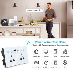Tuya WiFi Smart Wall Socket 20A Double Outlet with USB-C & USB-A, Tempered Glass Panel, Energy Monitoring | GEL
