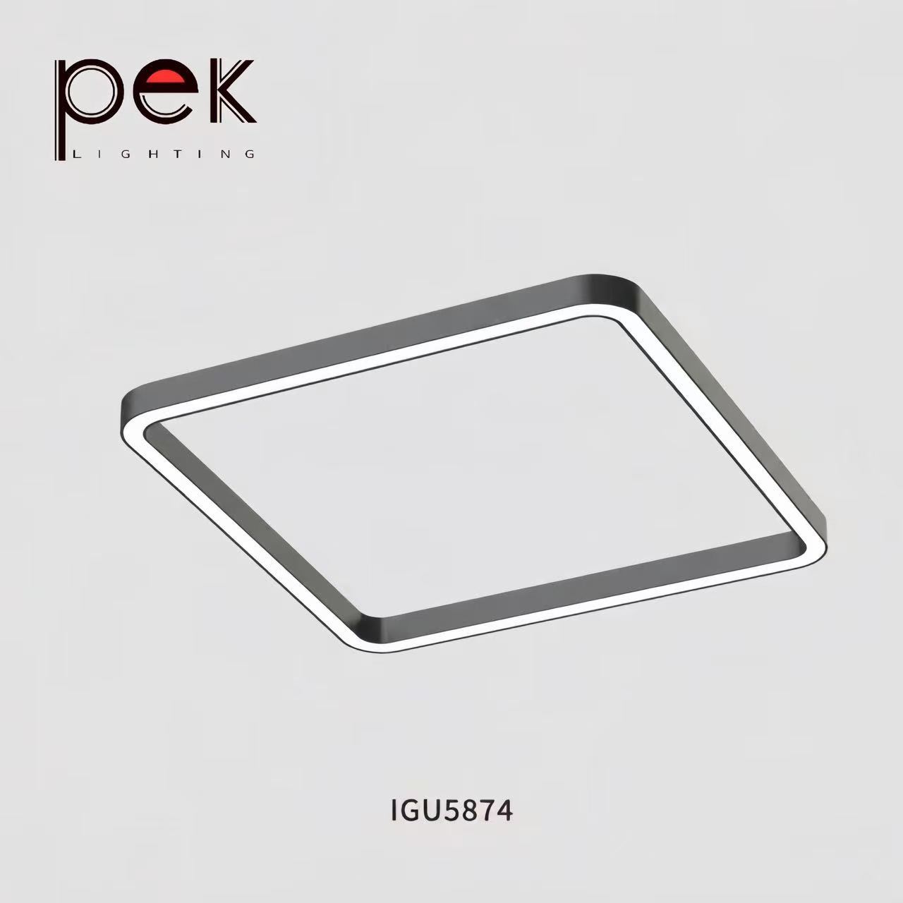 IGU58,PEK,IGU58
