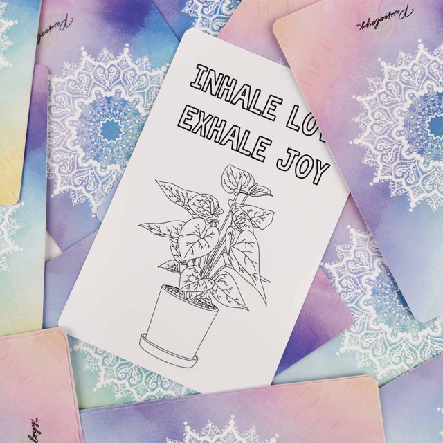 Divine Declarations Positive Affirmation Pocket Coloring Cards,Thriwa Poker ,Divine Declarations Positive Affirmation Pocket Coloring Cards