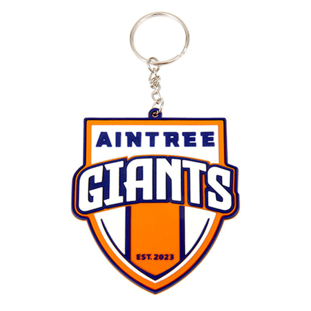 Custom Create Your Own Recycled Plastic Keychain Keyring Nfc Silicone Key Chain Tag