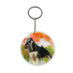 Custom Colored Printed Acrylic Keychain Custom Acrylic Key Chain Wedding Gift