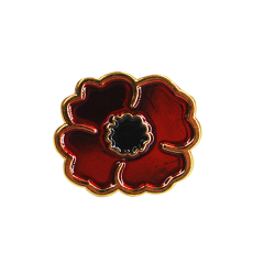 custom Translucent Pin