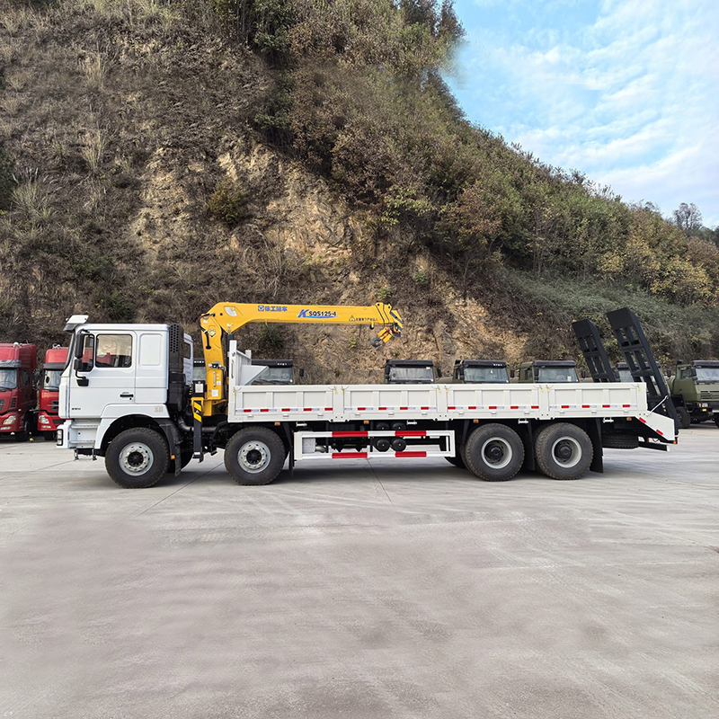 SHACMAN F3000 8x4 Truck Equipped with a XCMG 5 ton Telescopic Boom Crane,Hubei Jiafeng Automotive Equipment Co., Ltd,SHACMAN F3000 8x4 Truck Equipped with a XCMG 5 ton Telescopic Boom Crane