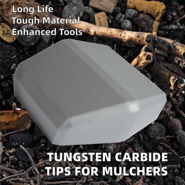Electric Forestry Mulcher Tooth with Long Lifespan Wear-Resistant Tungsten Carbide Tips Square Shape OEM Customizable