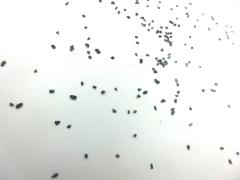 Abrasives Crushed Carbide/Tungsten Carbide Grits Broken Grain for Cars