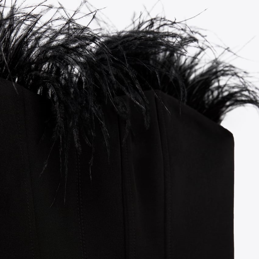 Corsetry-Inspired top with feathers