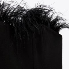 Corsetry-Inspired top with feathers