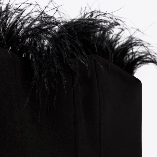 Corsetry-Inspired top with feathers
