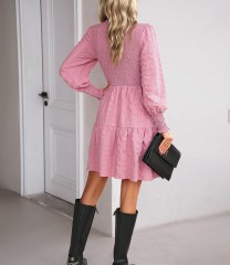 Solid Color Long Sleeved Dress