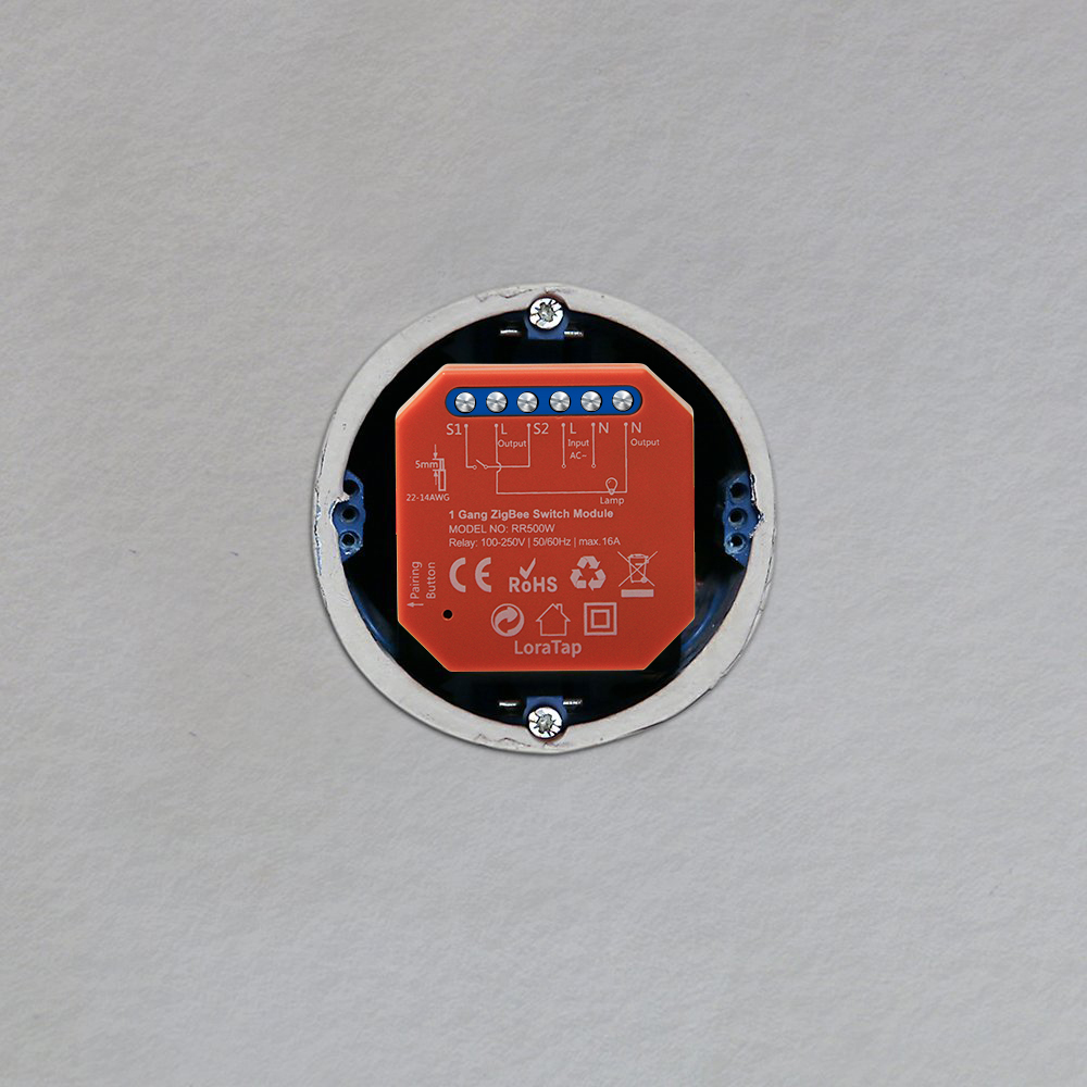 Tuya Smart ZigBee 3.0 Relay 16A DIY Module for Light and Device ON OFF App Remote Control Timer Support Google Home Alexa Zigbee2MQTT
