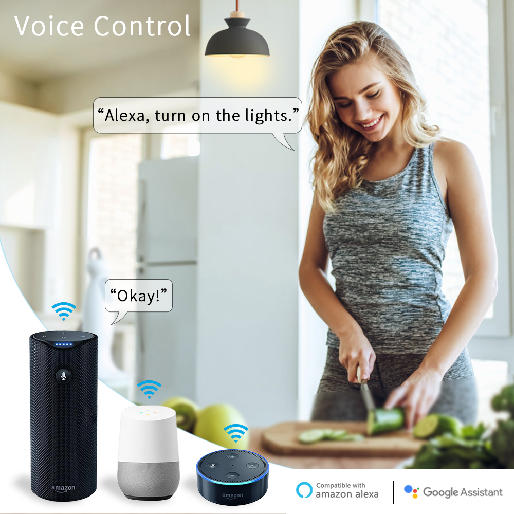 Tuya Smart Life Wifi Smart Light Switch Relay module Remote Control Google Home Alexa Echo Works with Wall Manual Switch 10A