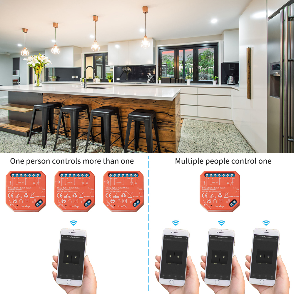 Tuya Smart Life ZigBee Switch 2 Gang Relay Module Smart Lighting Google Home Alexa Echo App Remote Control Timer Switch Zigbee2MQTT