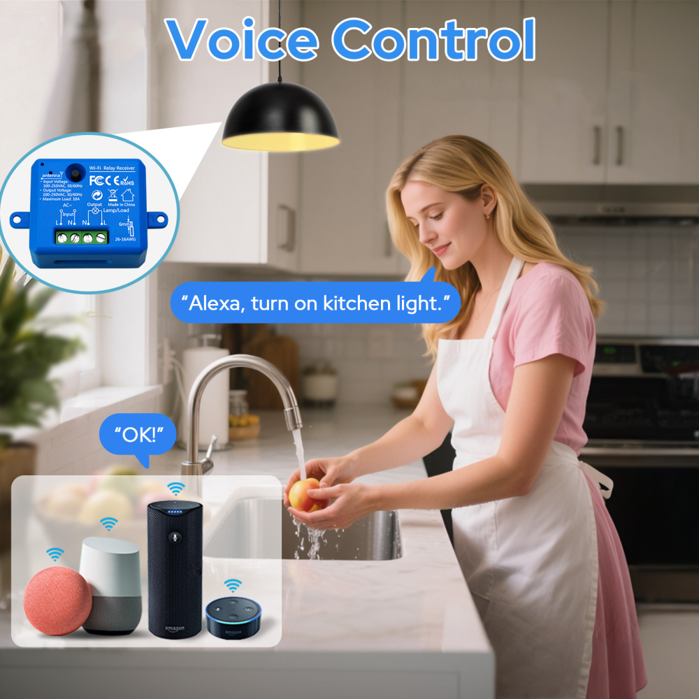 Tuya Smart Life Tiny WiFi Switch Socket Module DIY Smart Light and Socket Google Home Echo Alexa Voice Control Remote Control