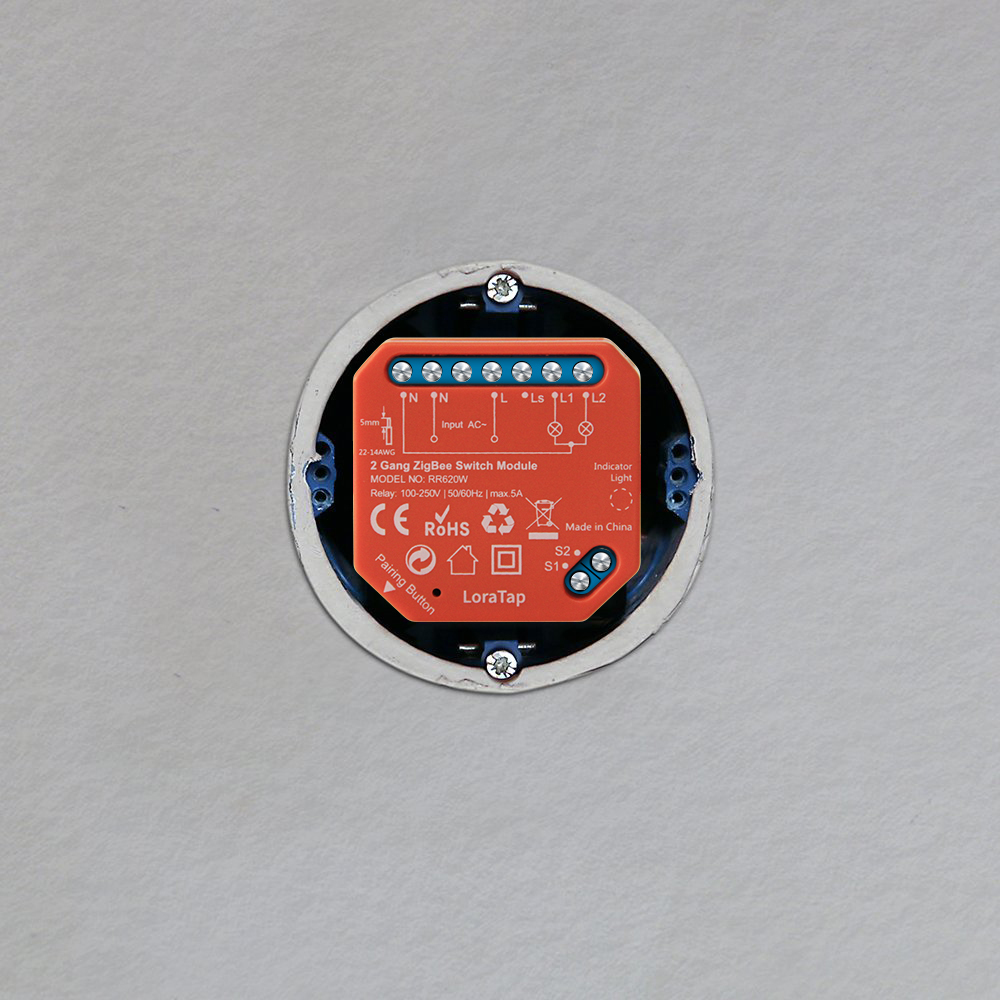 Tuya Smart Life ZigBee Switch 2 Gang Relay Module Smart Lighting Google Home Alexa Echo App Remote Control Timer Switch Zigbee2MQTT