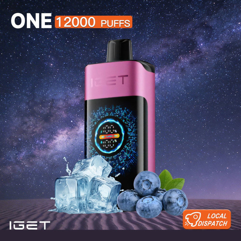 FAST AUS SHIPPING | IGET?ONE 12,000?Puffs Disposable Vape – 2700?mAh Smart LED, Dual?Mesh Coils, Turbo Mode | Sydney Warehouse