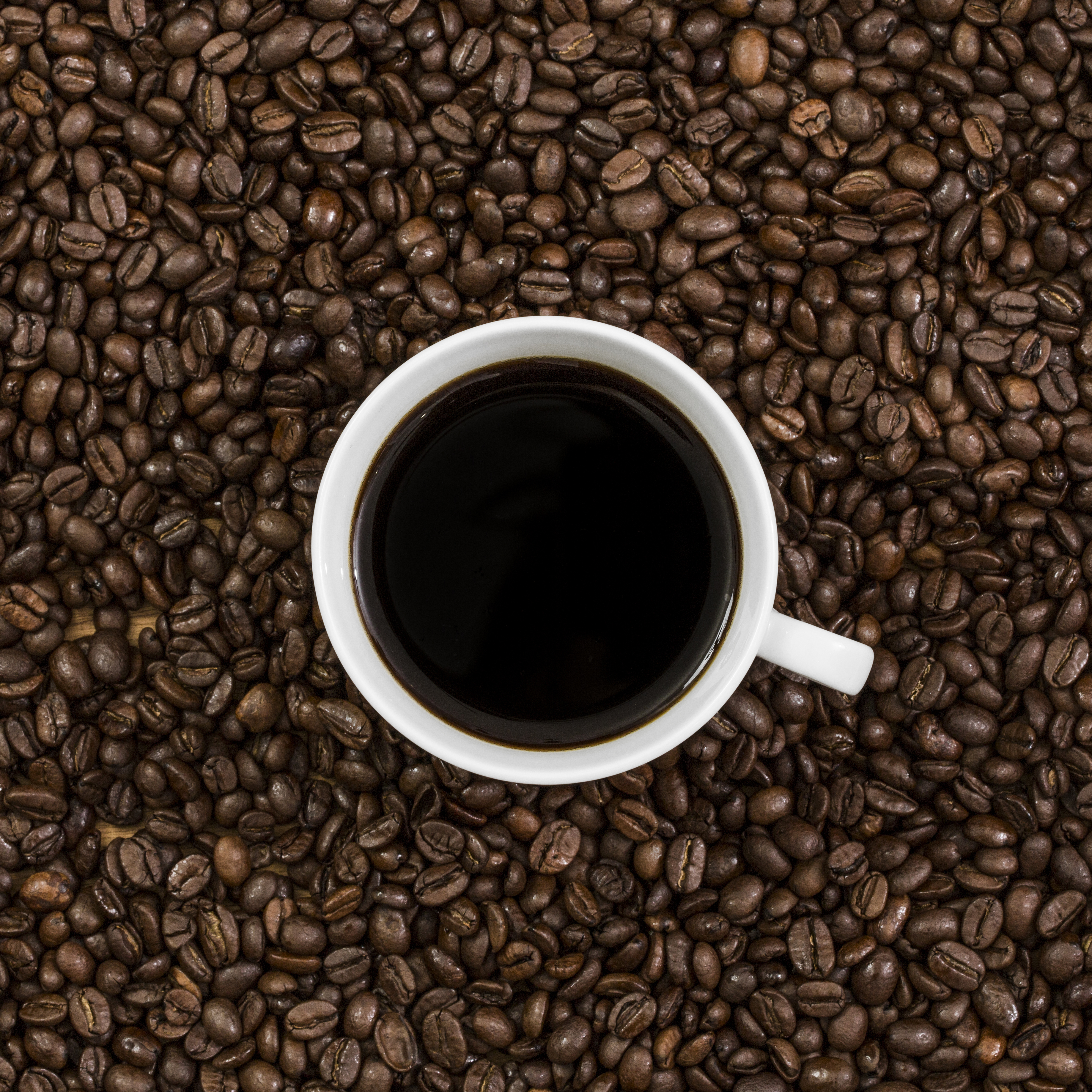 Decaf Espresso Blend Whole Bean Coffee,Changpu International Import and Export (Shanghai) Co., Ltd.,OriginSelect Single-Origin Low-Caffeine Whole Bean