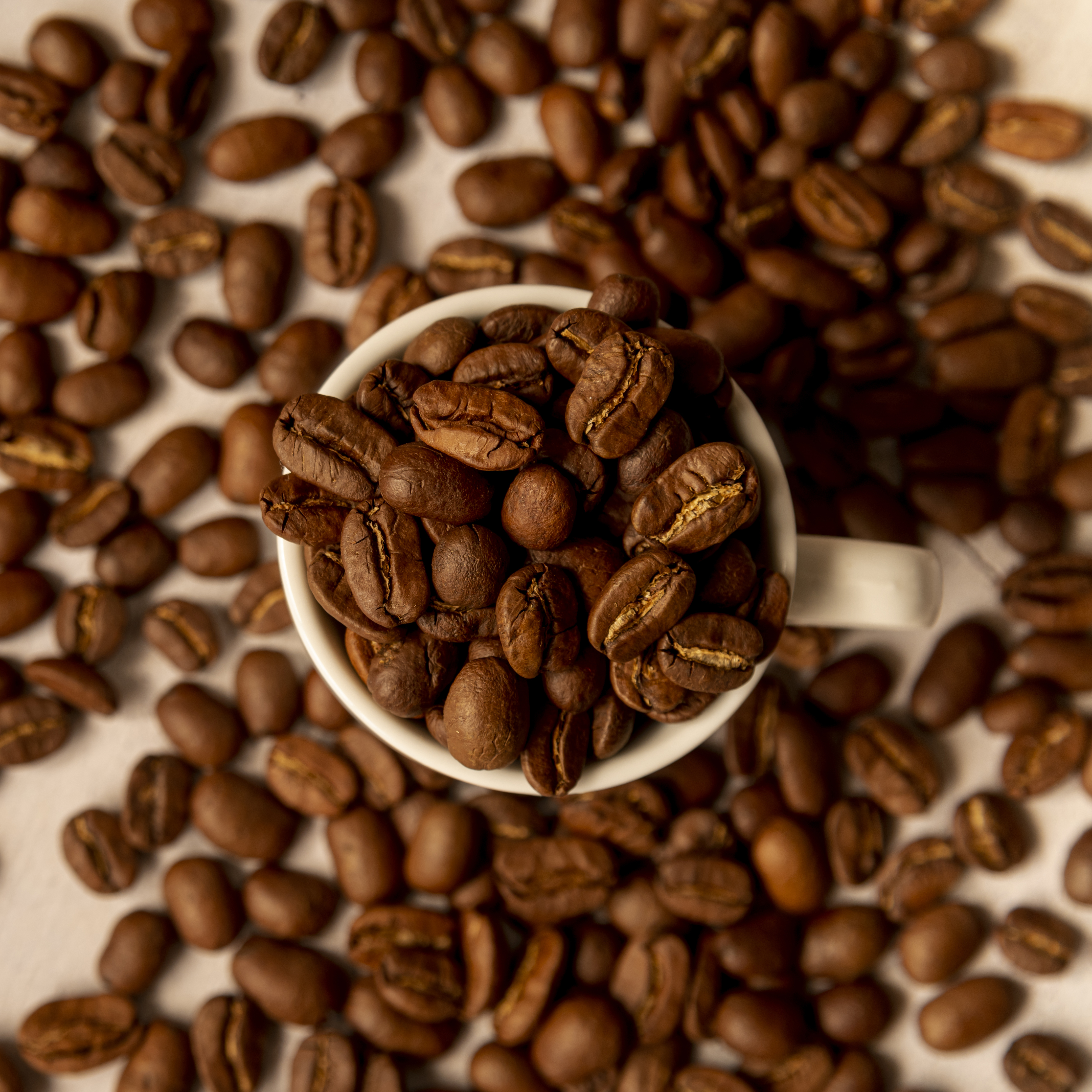 Specialty Decaf Single Origin Whole Bean Coffee,Changpu International Import and Export (Shanghai) Co., Ltd.,HydraBrew Electrolyte-Enhanced Low-Caffeine Ready-to-Drink