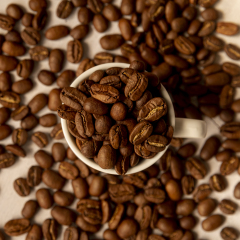 Specialty Decaf Single Origin Whole Bean Coffee,Changpu International Import and Export (Shanghai) Co., Ltd.,HydraBrew Electrolyte-Enhanced Low-Caffeine Ready-to-Drink