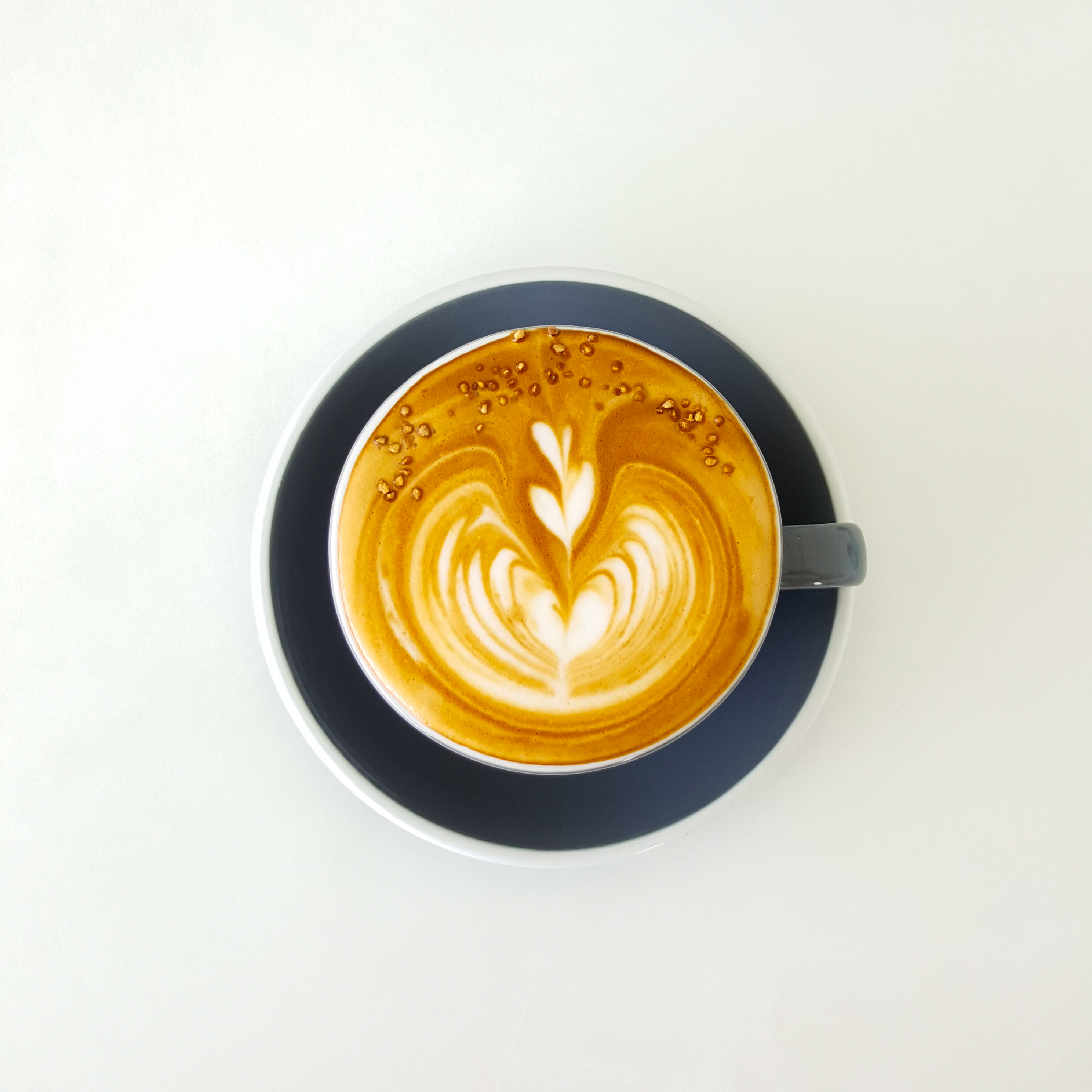 Decaf Blend Ready-to-Drink Latte Coffee,Changpu International Import and Export (Shanghai) Co., Ltd.,Decaf Blend Ready-to-Drink Latte Coffee