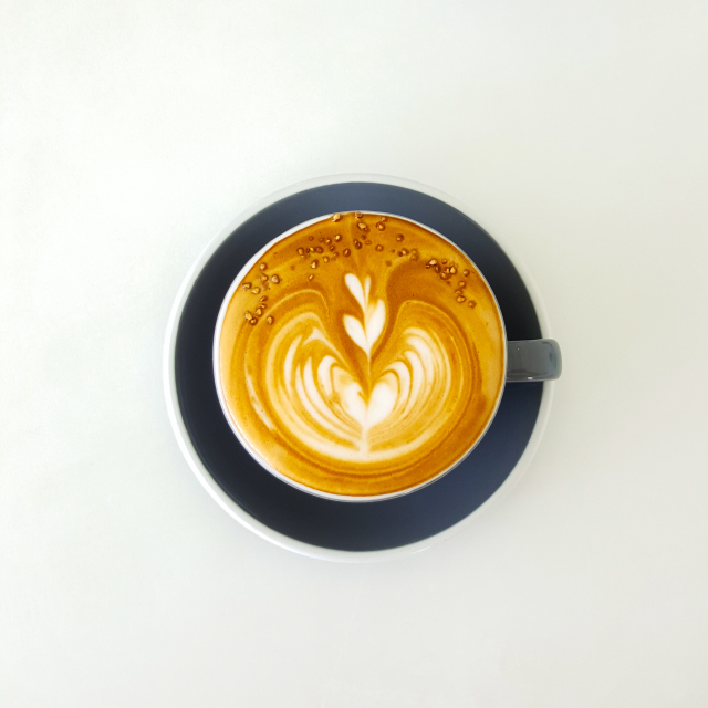 Decaf Blend Ready-to-Drink Latte Coffee,Changpu International Import and Export (Shanghai) Co., Ltd.,Decaf Blend Ready-to-Drink Latte Coffee
