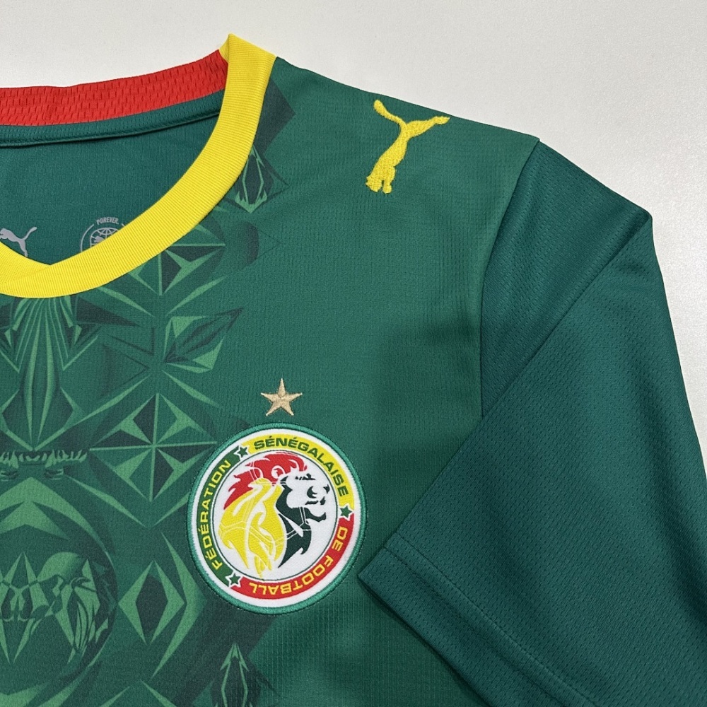 2026 Senegal Away Football jersey