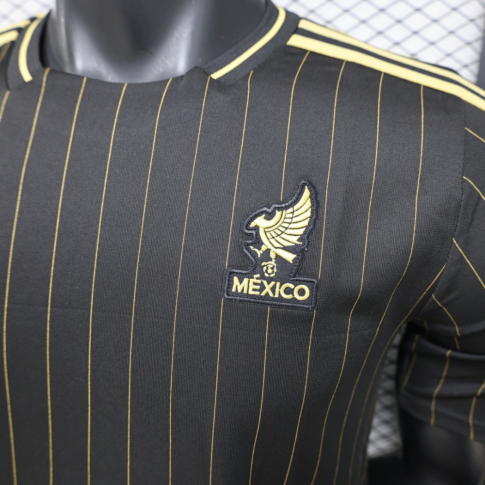 Player 2026 Mexico Casual style Football jersey