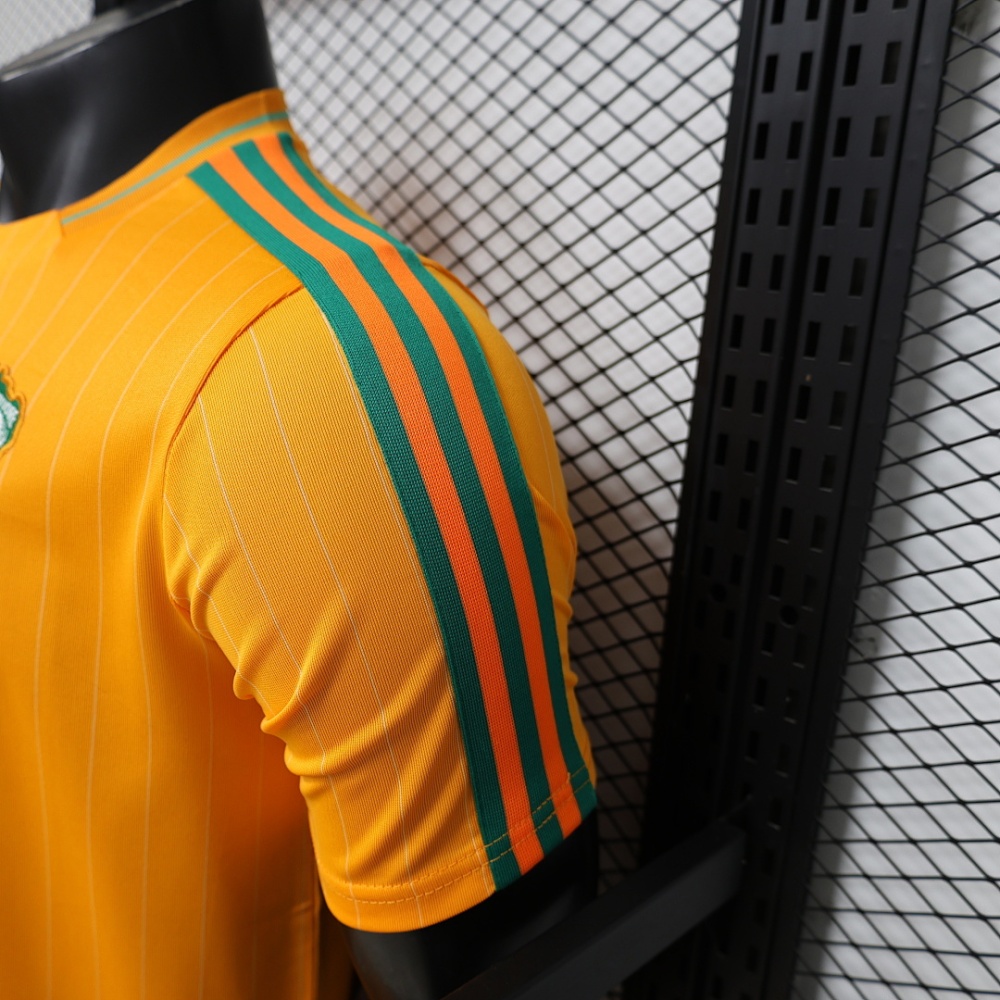 Player 2026 Côte d'Ivoire Casual style Football jersey