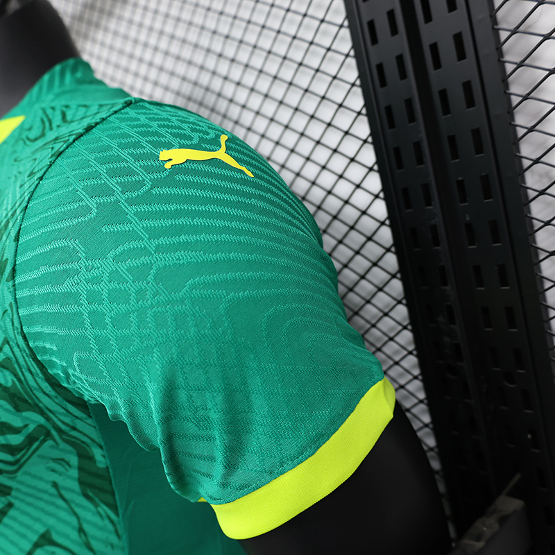 Player 2025 Senegal Green Football jersey