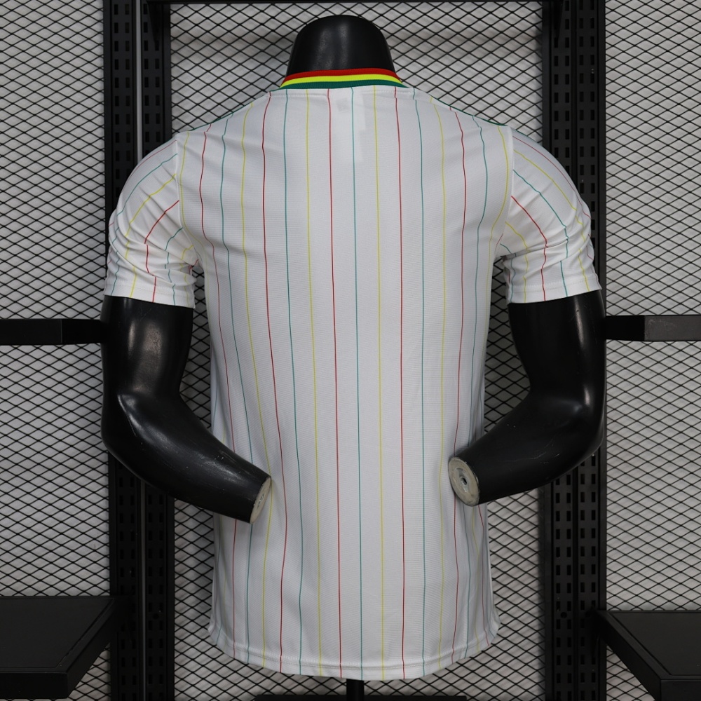 Player 2026 Senegal Casual style Football jersey