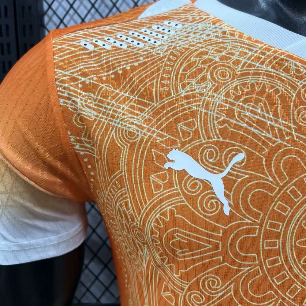 Player 2026 Côte d'Ivoire Special Edition Football jersey