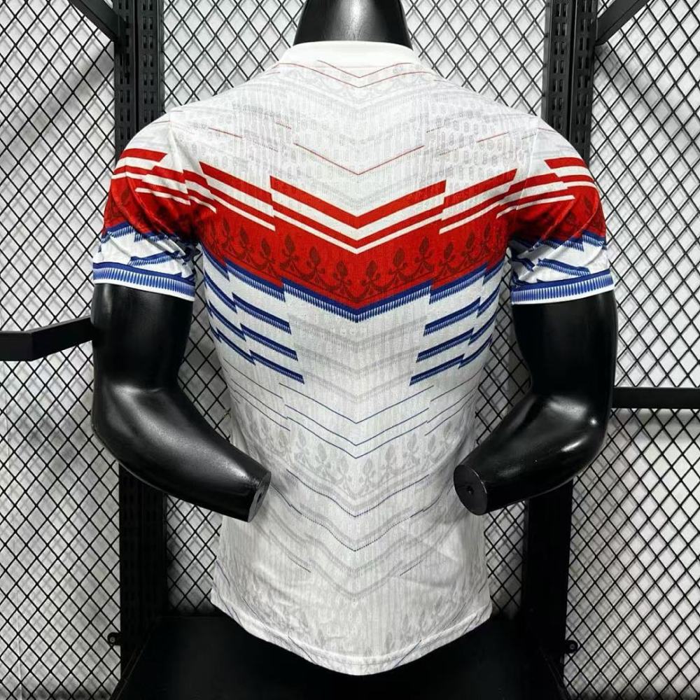 Player 2026 France Special Edition Football jersey
