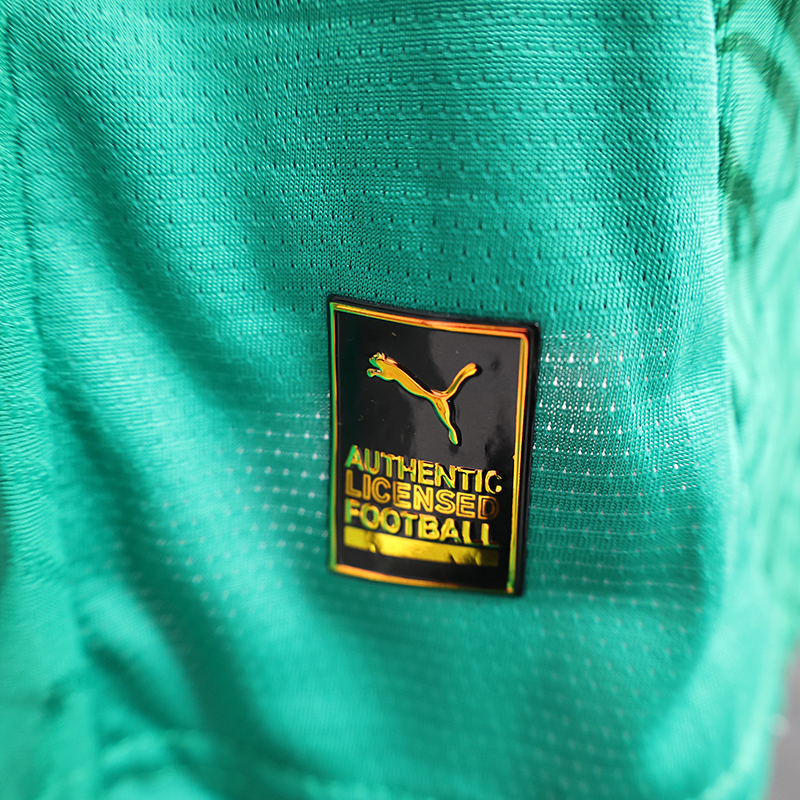 Player 2025 Senegal Green Football jersey